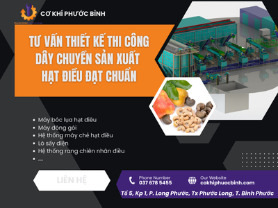 Tư vấn thiết kế thi công dây chuyền sản xuất hạt điều đạt chuẩn